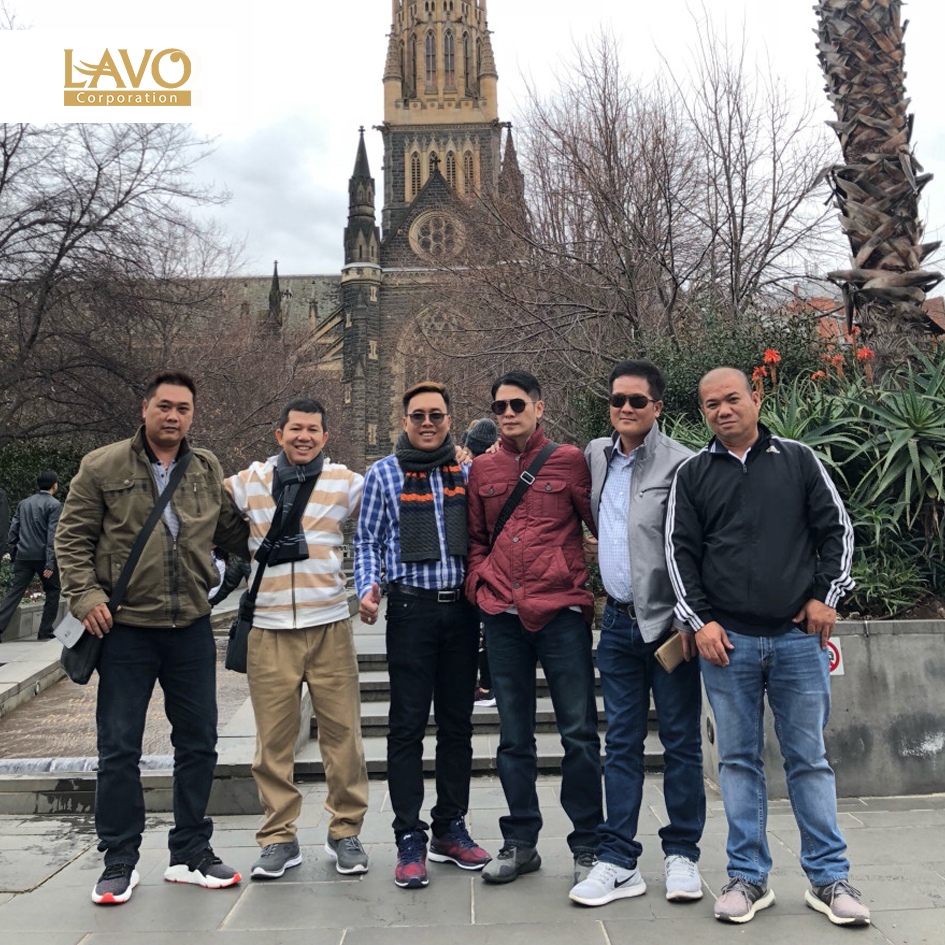 Lavo