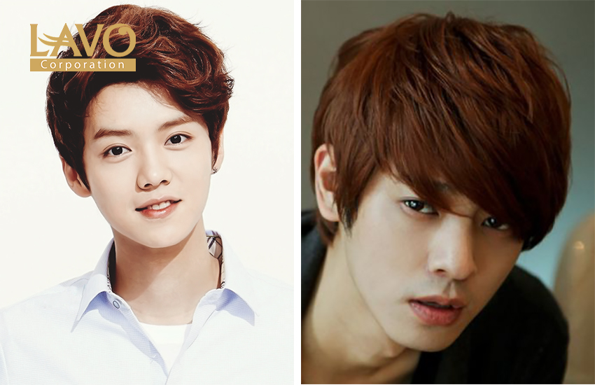 MÀU TÓC NÂU HẠT DẺ