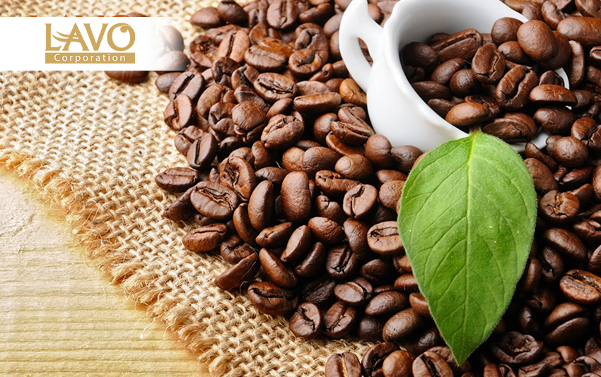 CÁCH LÀM MƯỢT TÓC BẰNG CÀ PHÊ