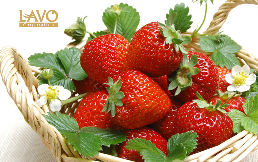 BÍ QUYẾT GIÚP TÓC KHỎE ĐẸP TỪ THỰC PHẨM BÍ QUYẾT GIÚP TÓC KHỎE ĐẸP TỪ THỰC PHẨM