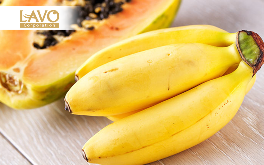 CHUỐI VÀ ĐU ĐỦ