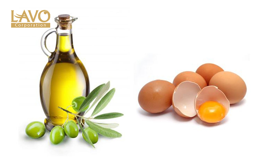 DẦU OLIVE VÀ TRỨNG