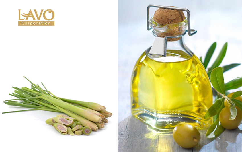 Kinh Nghiệm Giúp Tóc Mọc Nhanh, Dày Và Chắc Khỏe Từ Thiên Nhiên