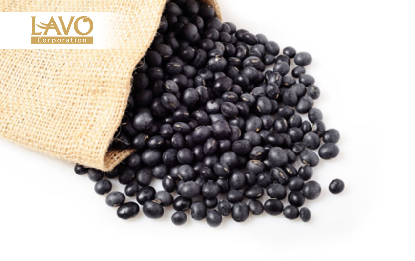 Phương Pháp Đơn Giản Giảm Tình Trạng Tóc Bạc Sớm Tại Nhà