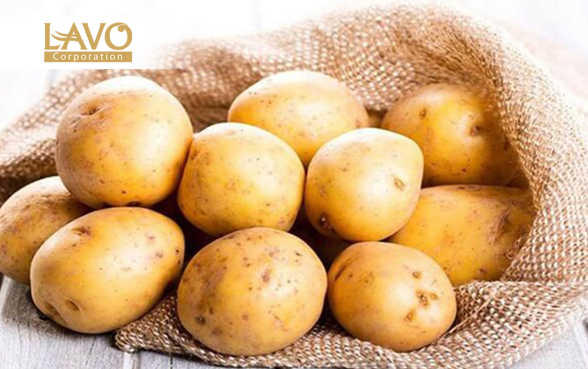 Phương Pháp Đơn Giản Giảm Tình Trạng Tóc Bạc Sớm Tại Nhà