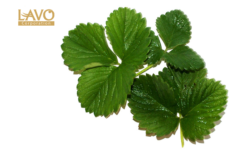 Phương Pháp Đơn Giản Giảm Tình Trạng Tóc Bạc Sớm Tại Nhà