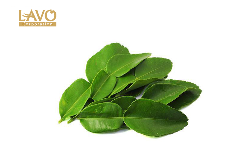 Kinh Nghiệm Giúp Tóc Mọc Nhanh, Dày Và Chắc Khỏe Từ Thiên Nhiên