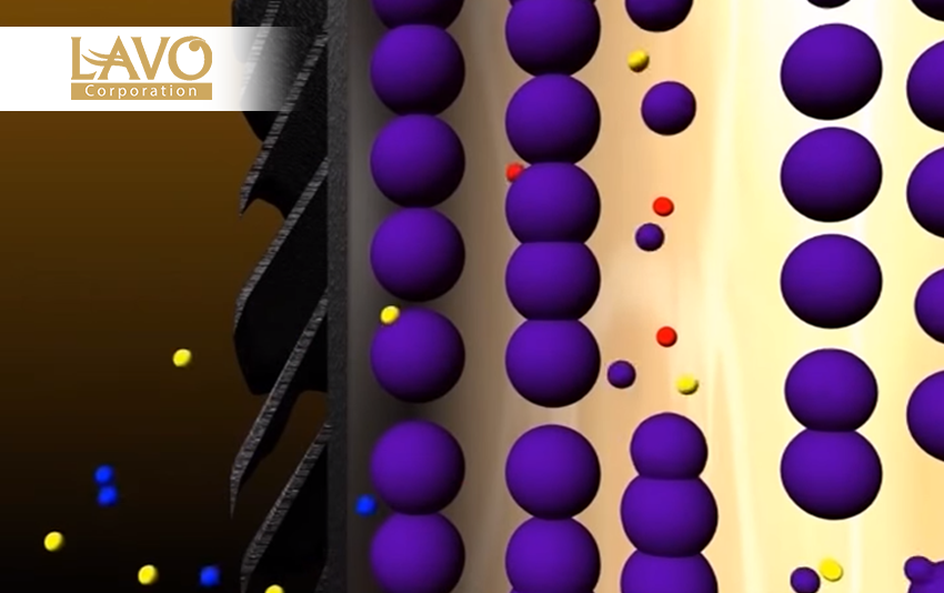 NGUYÊN LÝ THẨM THẤU THUỐC NHUỘM VÀO TÓC