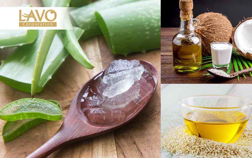 Chăm sóc tóc bằng lô hội.