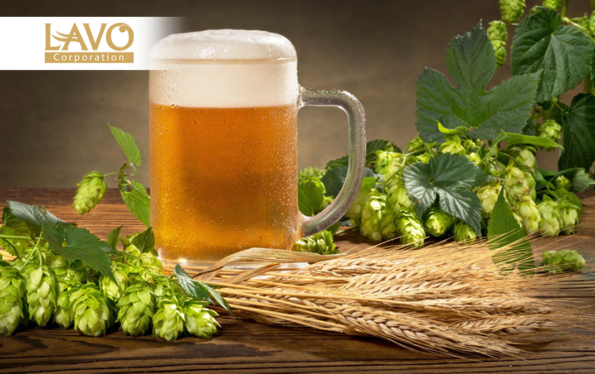 Phương pháp hạn chế gàu bằng bia.