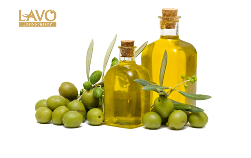 Phương pháp hạn chế gàu bằng dầu oliu.