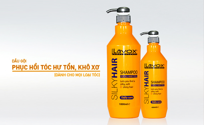 DẦU GỘI PHỤC HỒI TÓC HƯ TỔN, KHÔ XƠ (DÀNH CHO MỌI LOẠI TÓC)                             