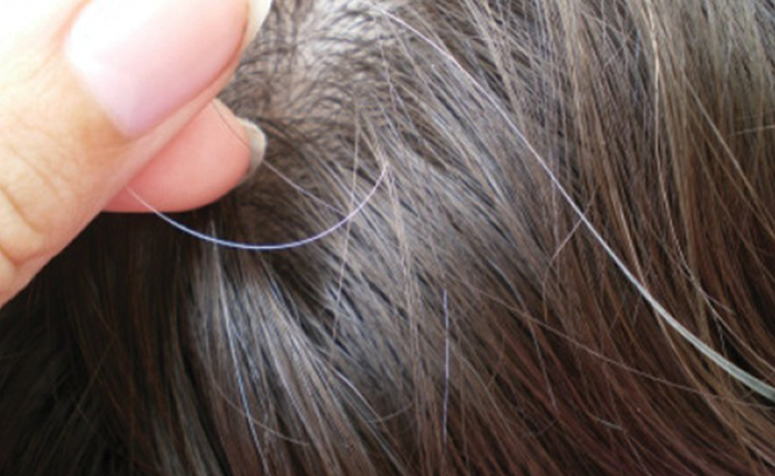 Tóc Bạc Sớm Nên Nhuộm Màu Gì?
