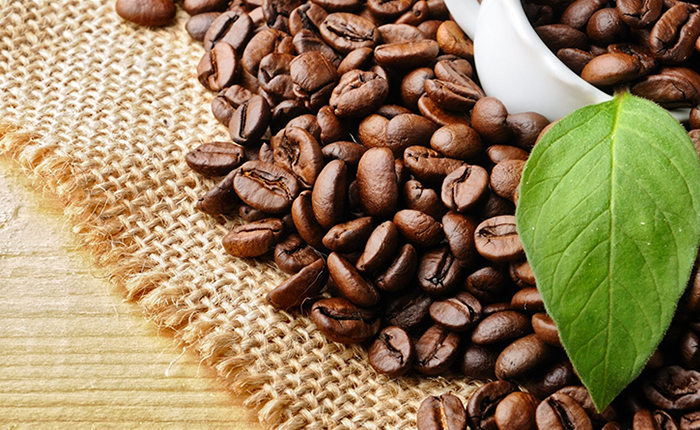 Cách Dưỡng Tóc Từ Thiên Nhiên Cho Mái Tóc Mềm Mượt