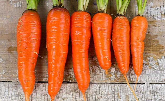 Bí Quyết Tóc Mọc Nhanh, Mềm Mượt Từ Các Loại Thực Phẩm