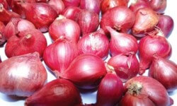 Trị Gàu, Ngứa Đầu Hiệu Quả Bằng Phương Pháp Dân Gian