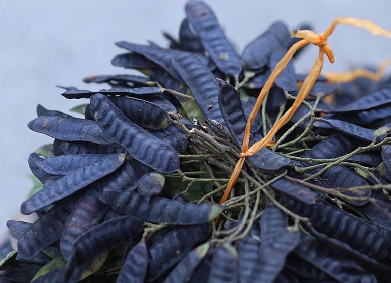 Bồ kết kích thích tóc mọc và làm mượt tóc