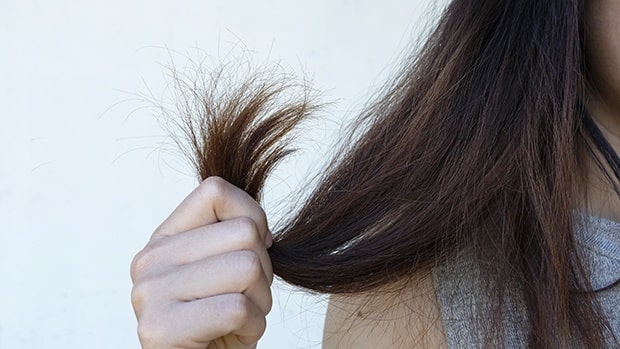 Tóc khô xơ và hư tổn nặng cần các loại dầu xả phục hồi chuyên sâu