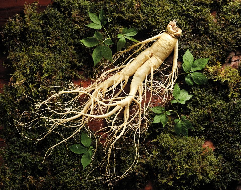 Bảng thành phần chiết xuất thiên nhiên giúp mái tóc chắc khỏe và tạo các lọn xoăn đẹp